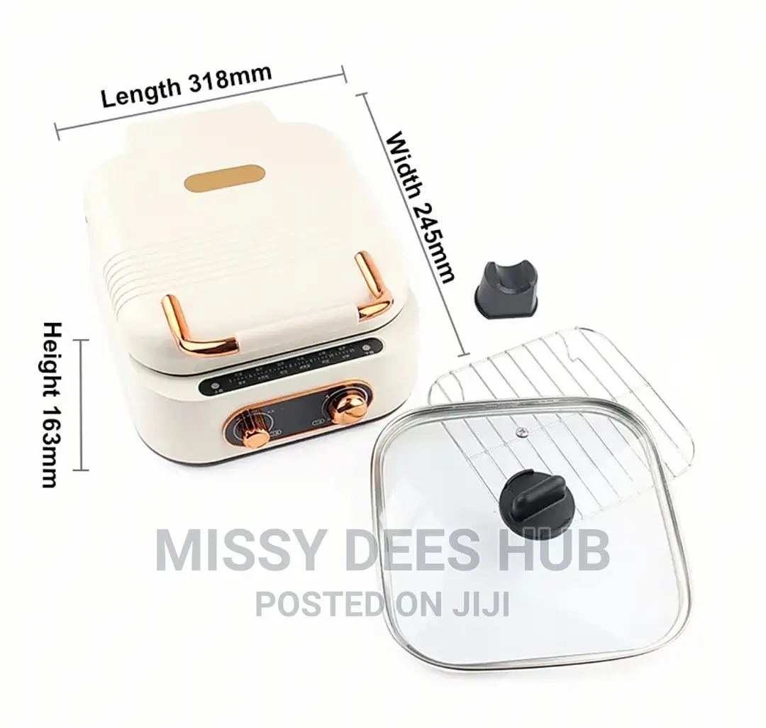 2in1 Electric Hotpot