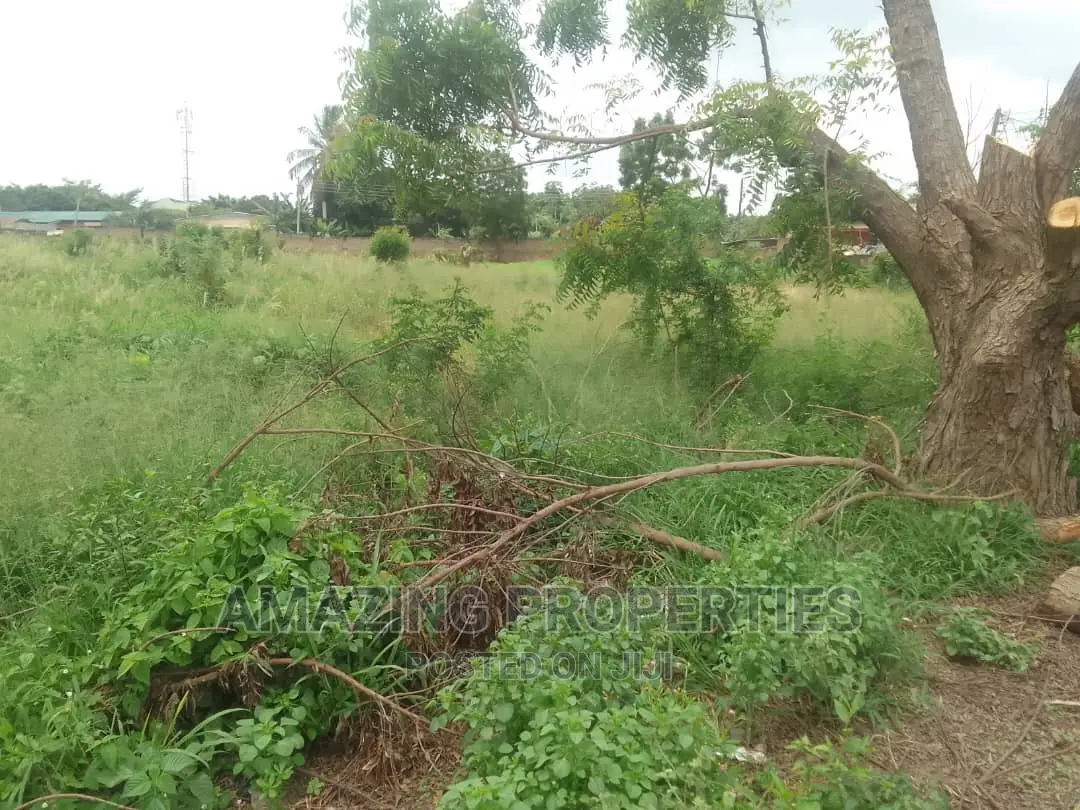 One and Half Plots Titled Land and Intact Documents Labone