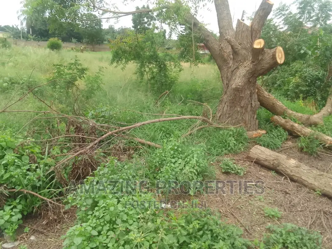 Two Plots of Titled Land Intact Documents Sprintex Near Dvla