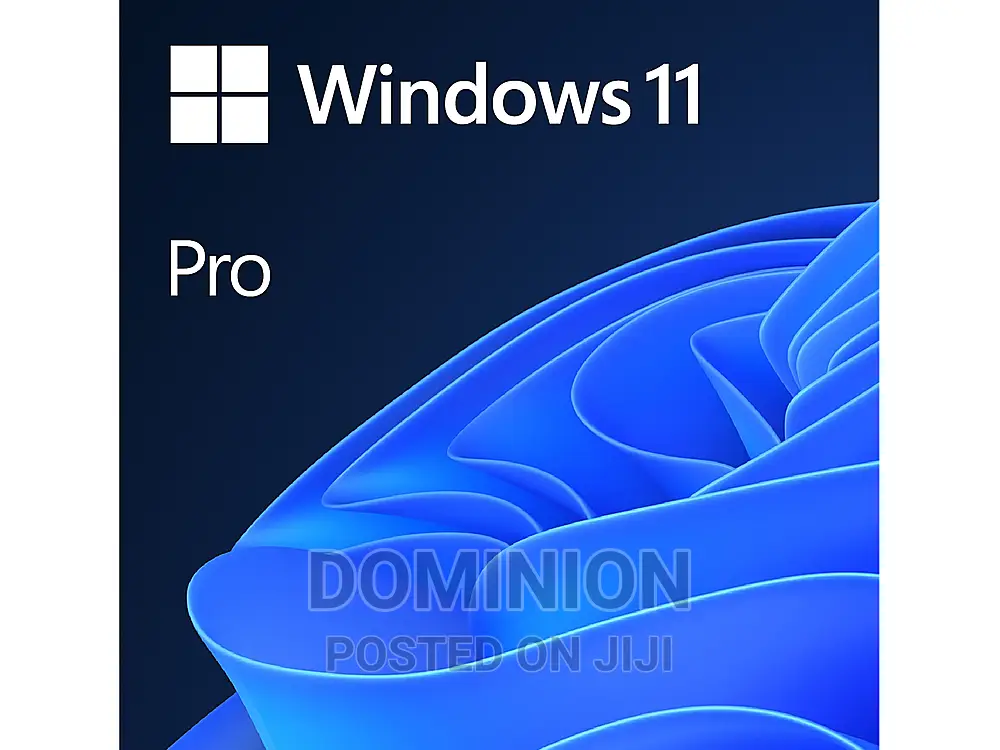 Microsoft FQC-10529 Windows 11 Pro Professional Digital Lice