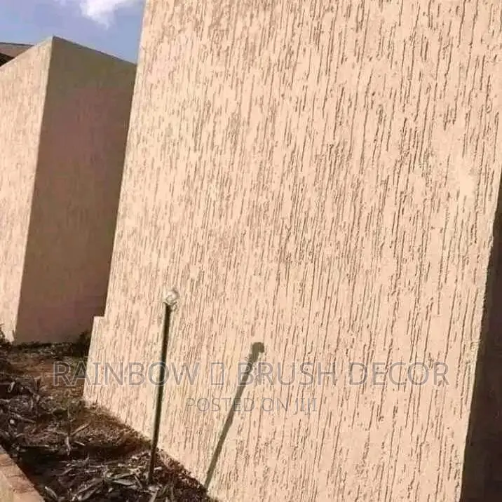 20 L Waterproof Graffiato Paint and Painting