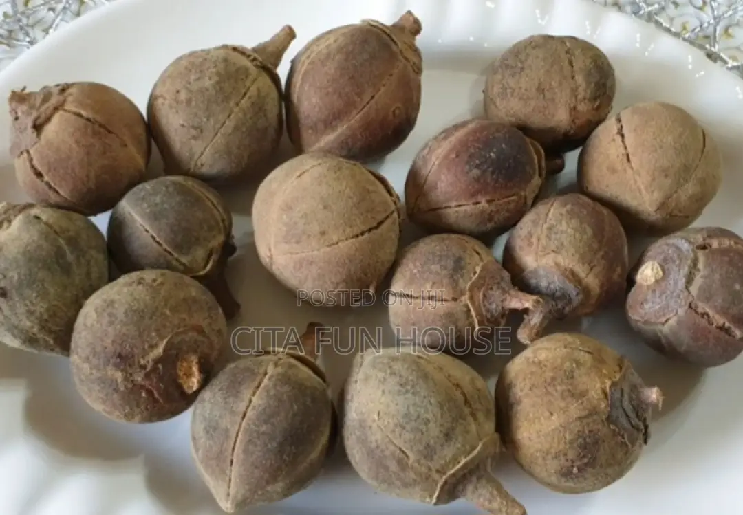 Goron Tula (Snot Apple)