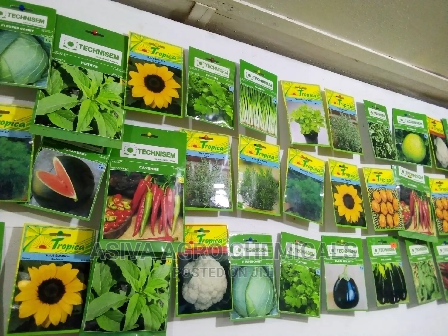 Vegetable Seeds