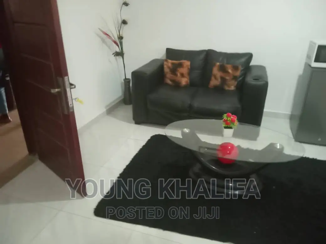 Spacious Standard One Studio Bedroom Apartments East Legon