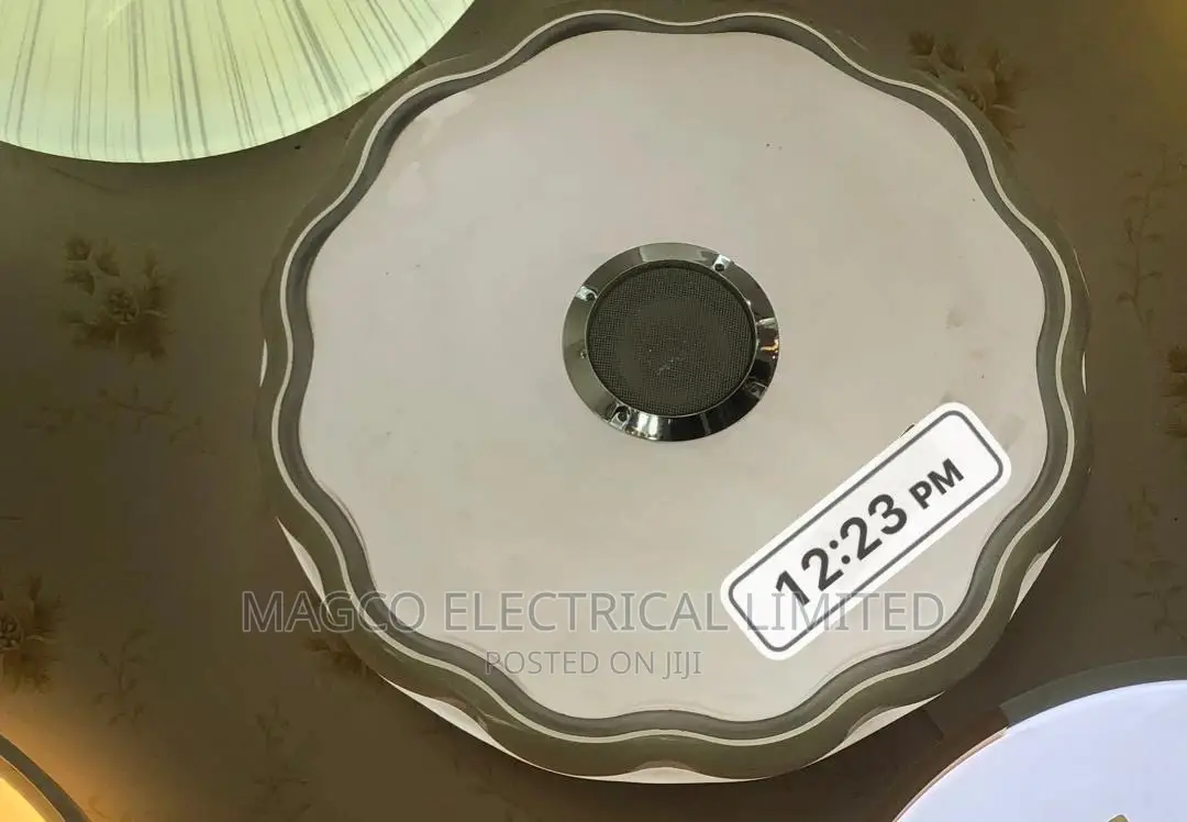Bluetooth Ceiling Light