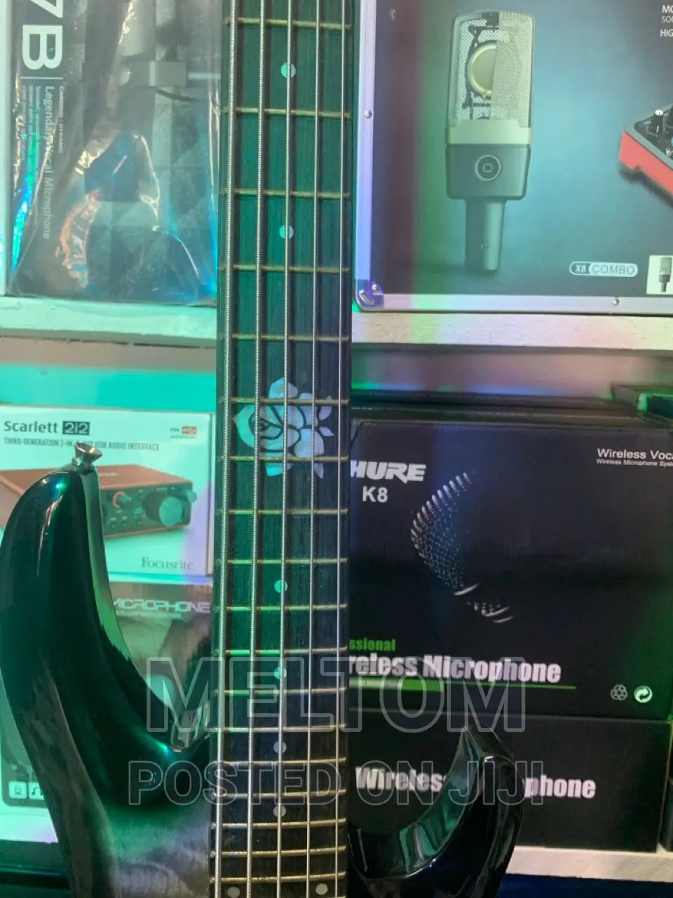 Gibson Bass Guitar (5 Strings)