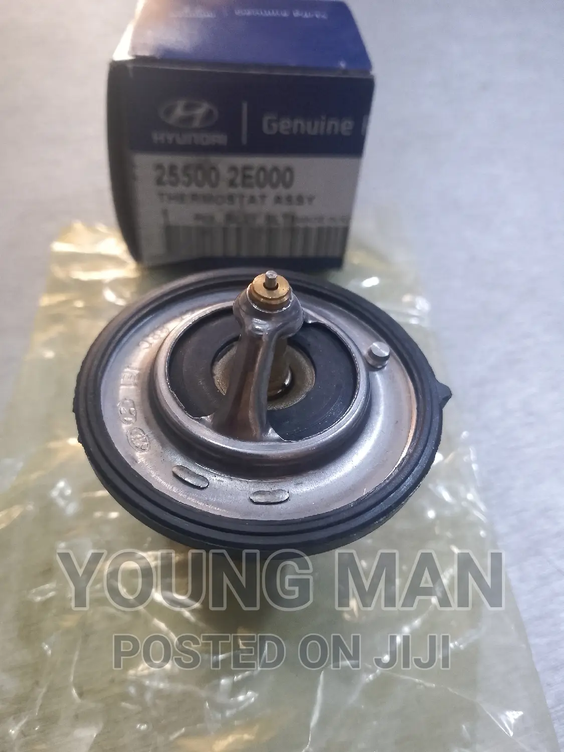 Hyundai Elantra, Sonata, Santafe, Kia Rio Engine Thermostat