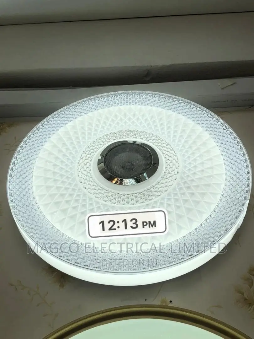 Bluetooth Speaker Ceiling Light