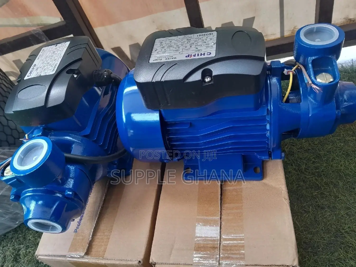 Morden Chimp Water Pump