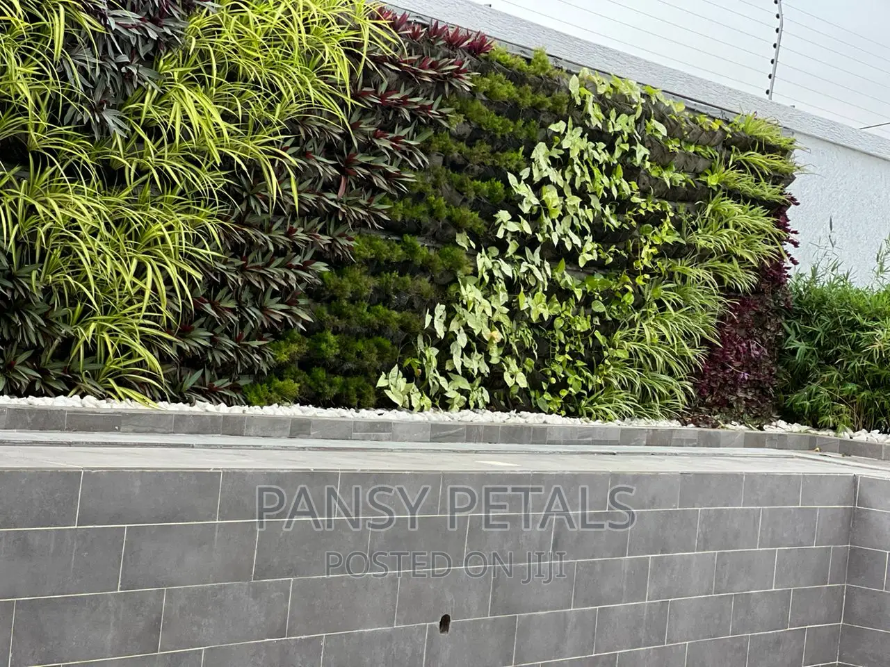 Vertical Garden/Green Wall