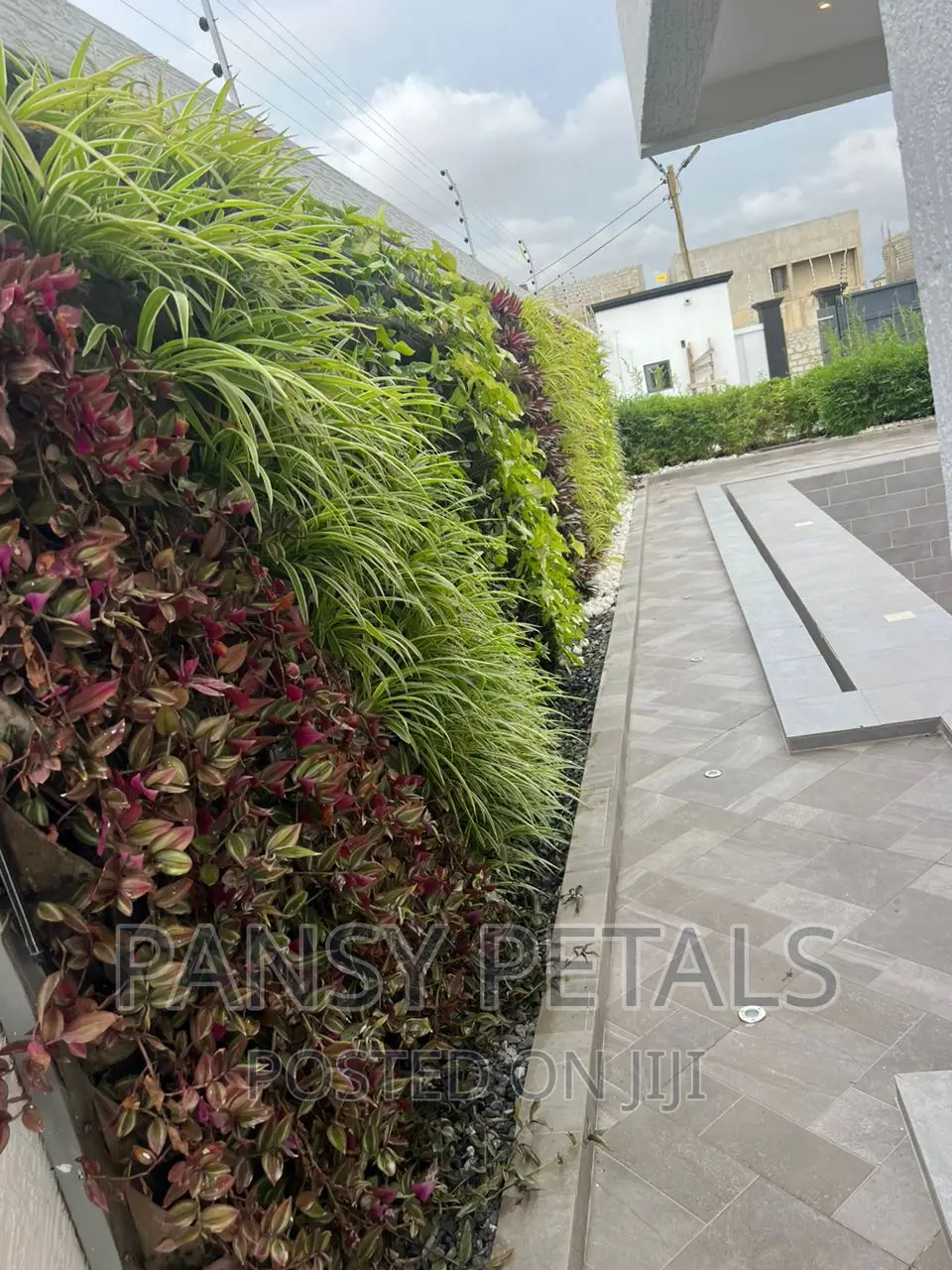 Vertical Garden/Green Wall