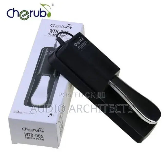 Keyboard Sustain Pedal