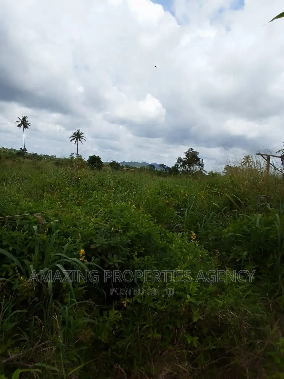 10000 Acres of Farmland at Asutware