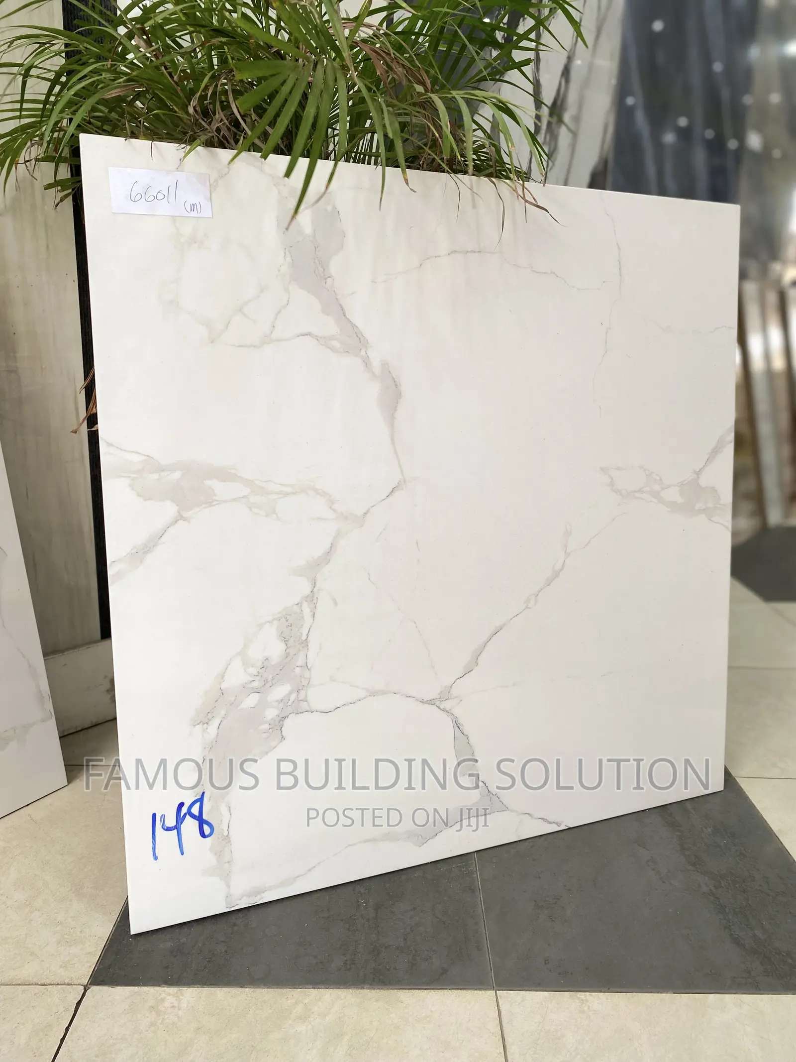 60/60 Floor Tiles Available (Polished Tiles)