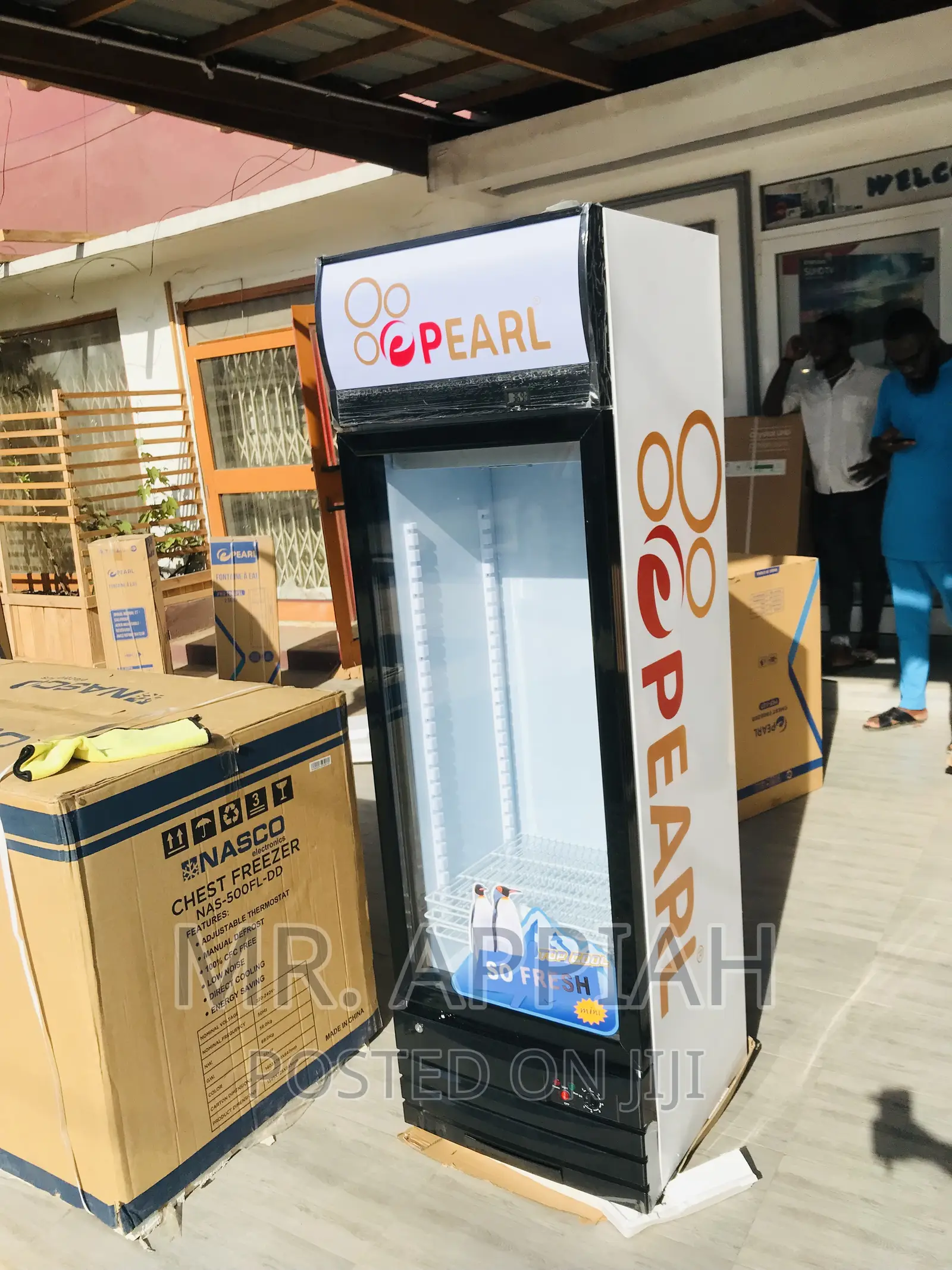 Budget-Friendly Pearl PVC-28 1 Door Electric Display Fridge