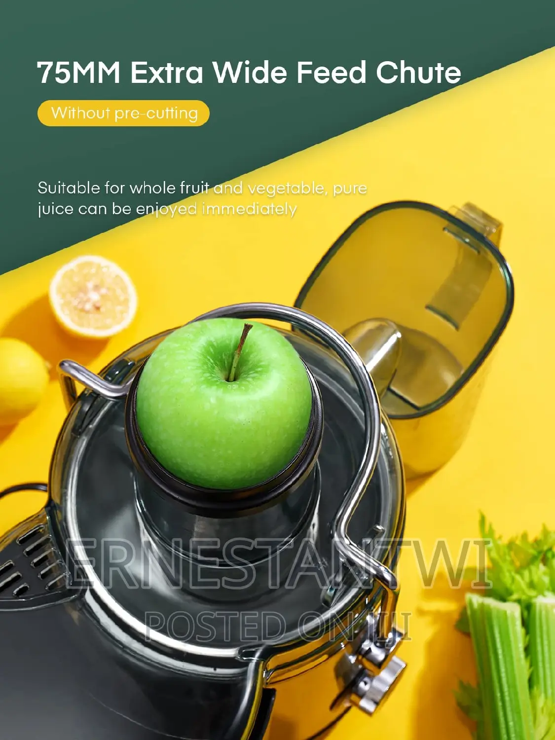 Whole Fruits and Vegetables Juicer From FOHERE, UK
