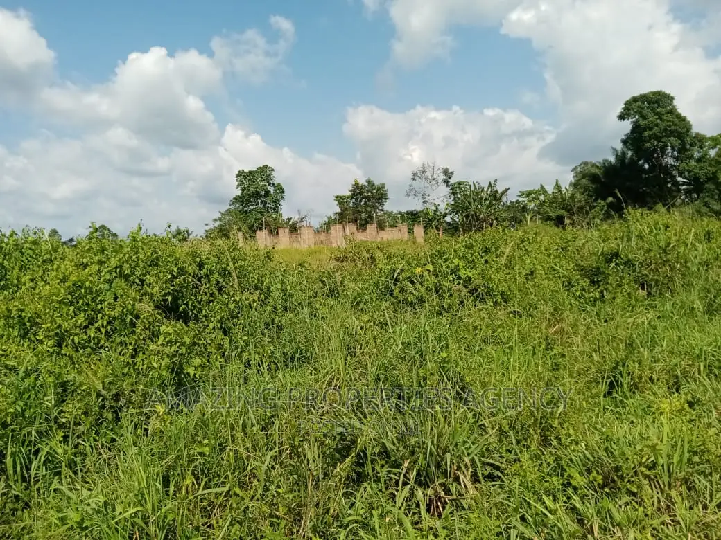 3 Plots of Land for Sale at Ayi Mensah