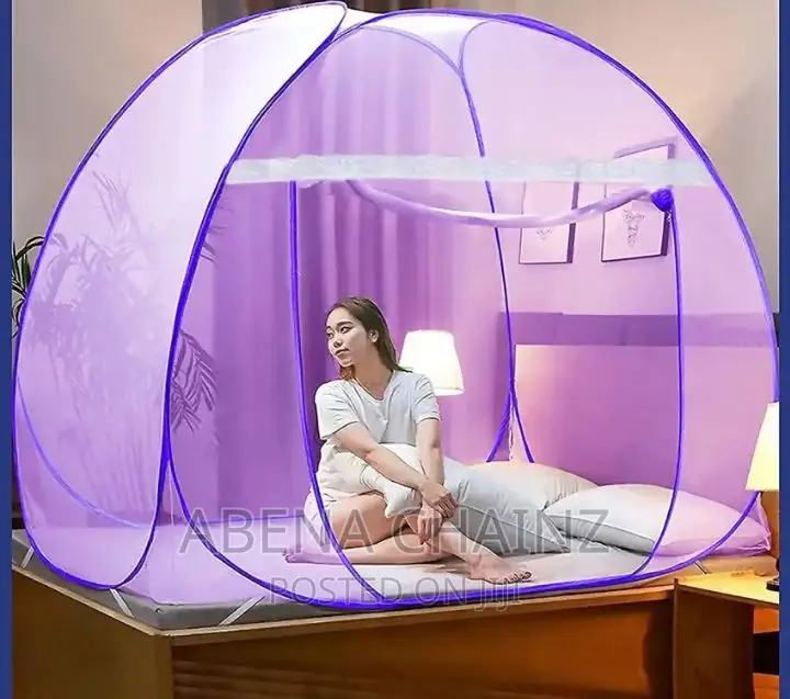 Purple Mosquito Net