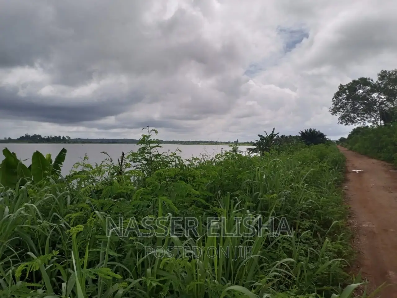 Mankessim Farm Lands for Sale
