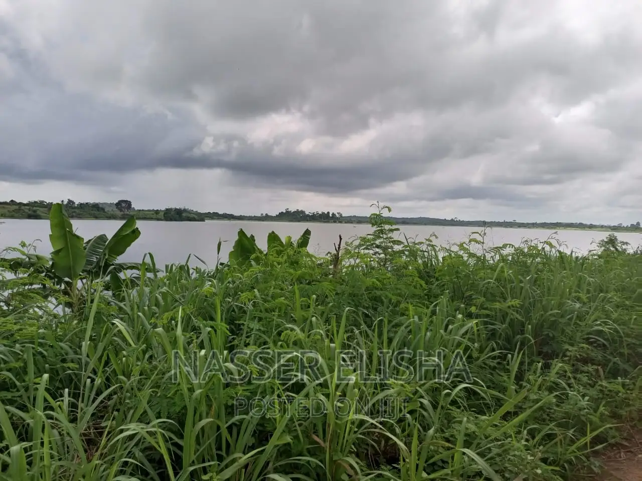 Mankessim Farm Lands for Sale