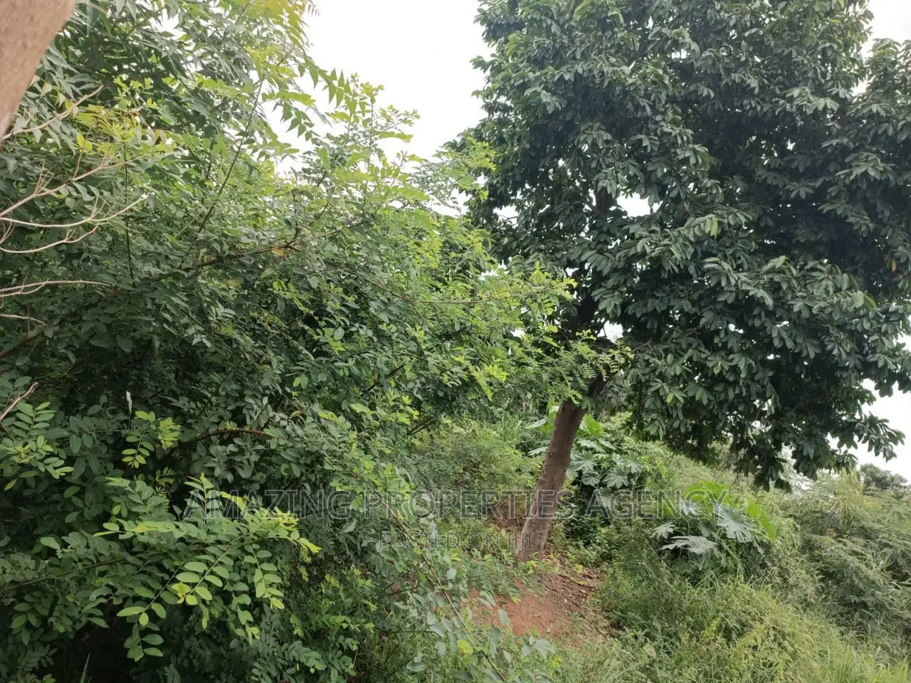 4 Acres of Land at North Legon