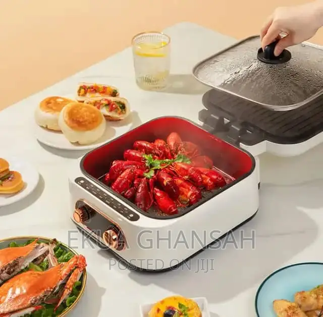 Multi Purpose Electric Cooker