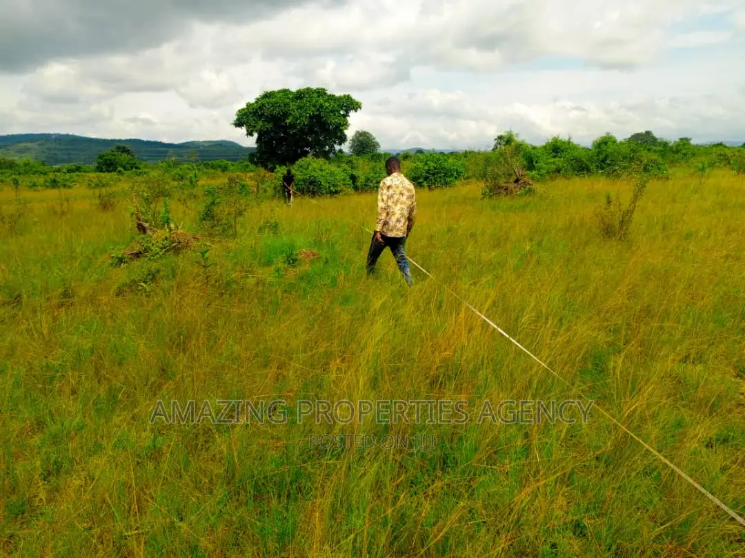 *Land Available for Sale at Appolonia*