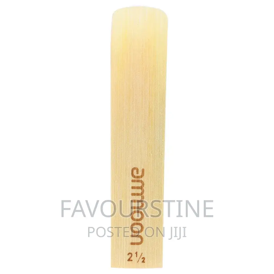 Rico Saxophone and Clarinet Reed