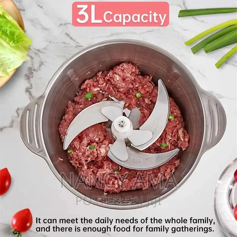 Stainless Food Processor