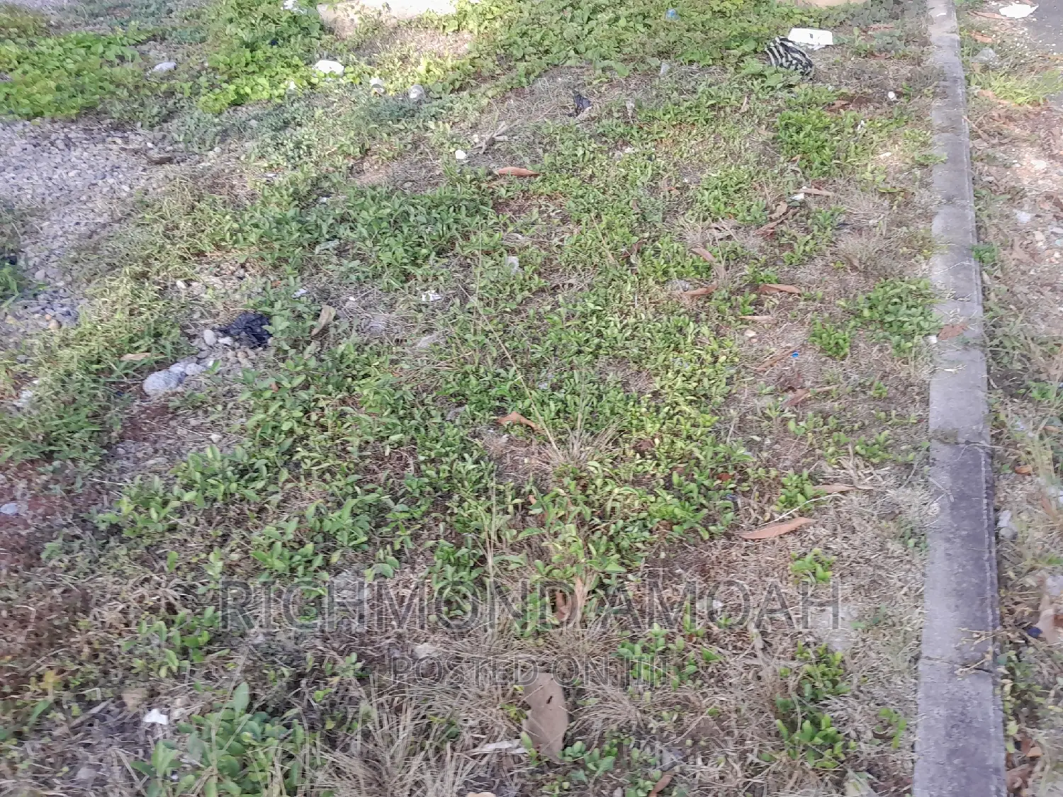 Plot for Sale at Race Course Down