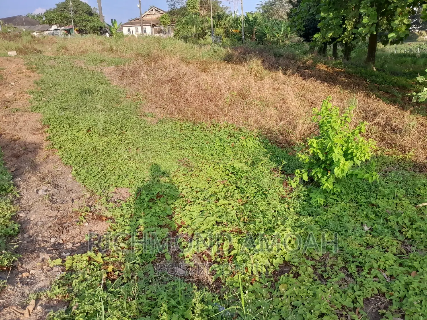 Plot for Sale at Essipon Ridge