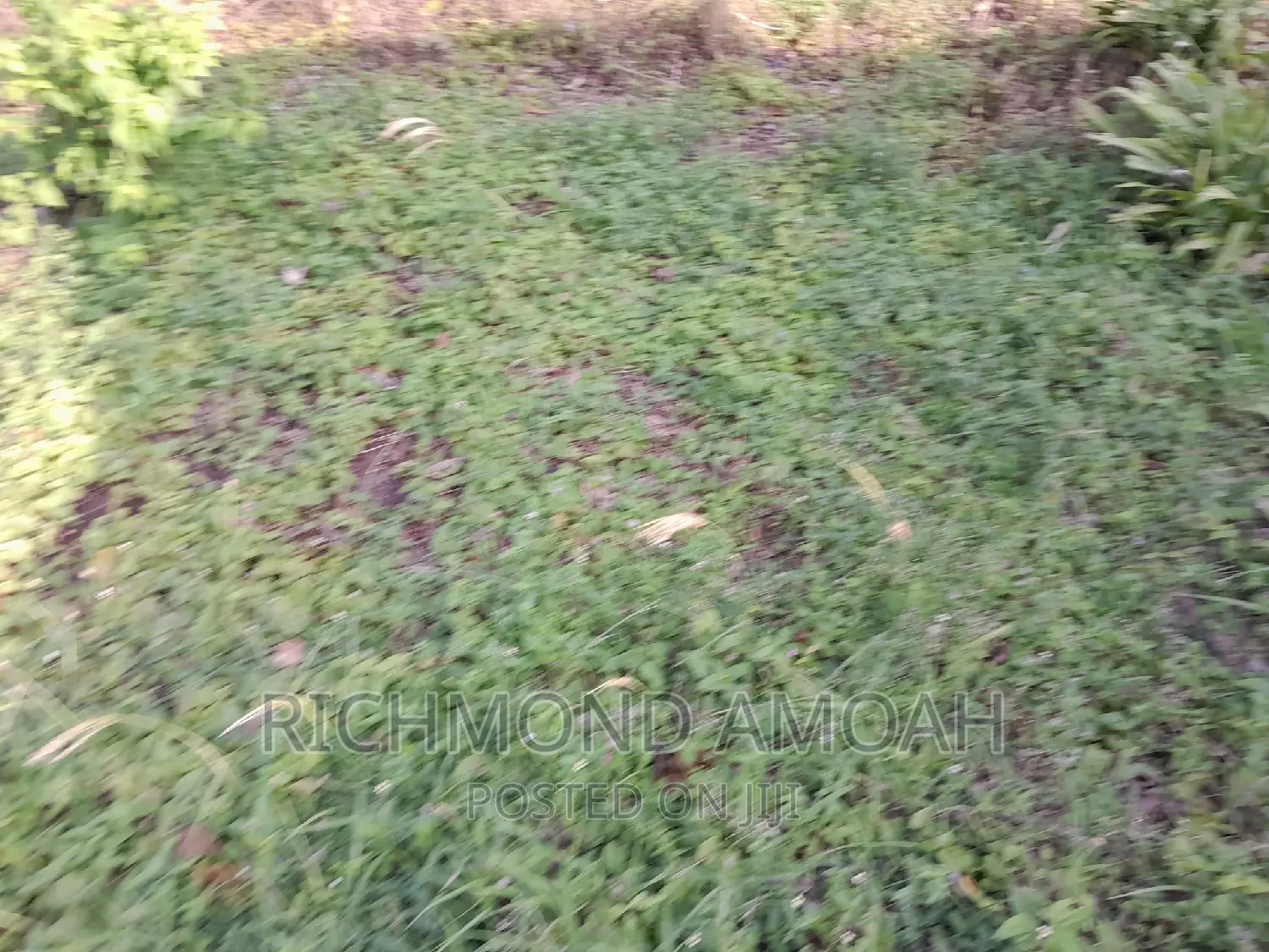 Plot for Sale at Essipon Ridge