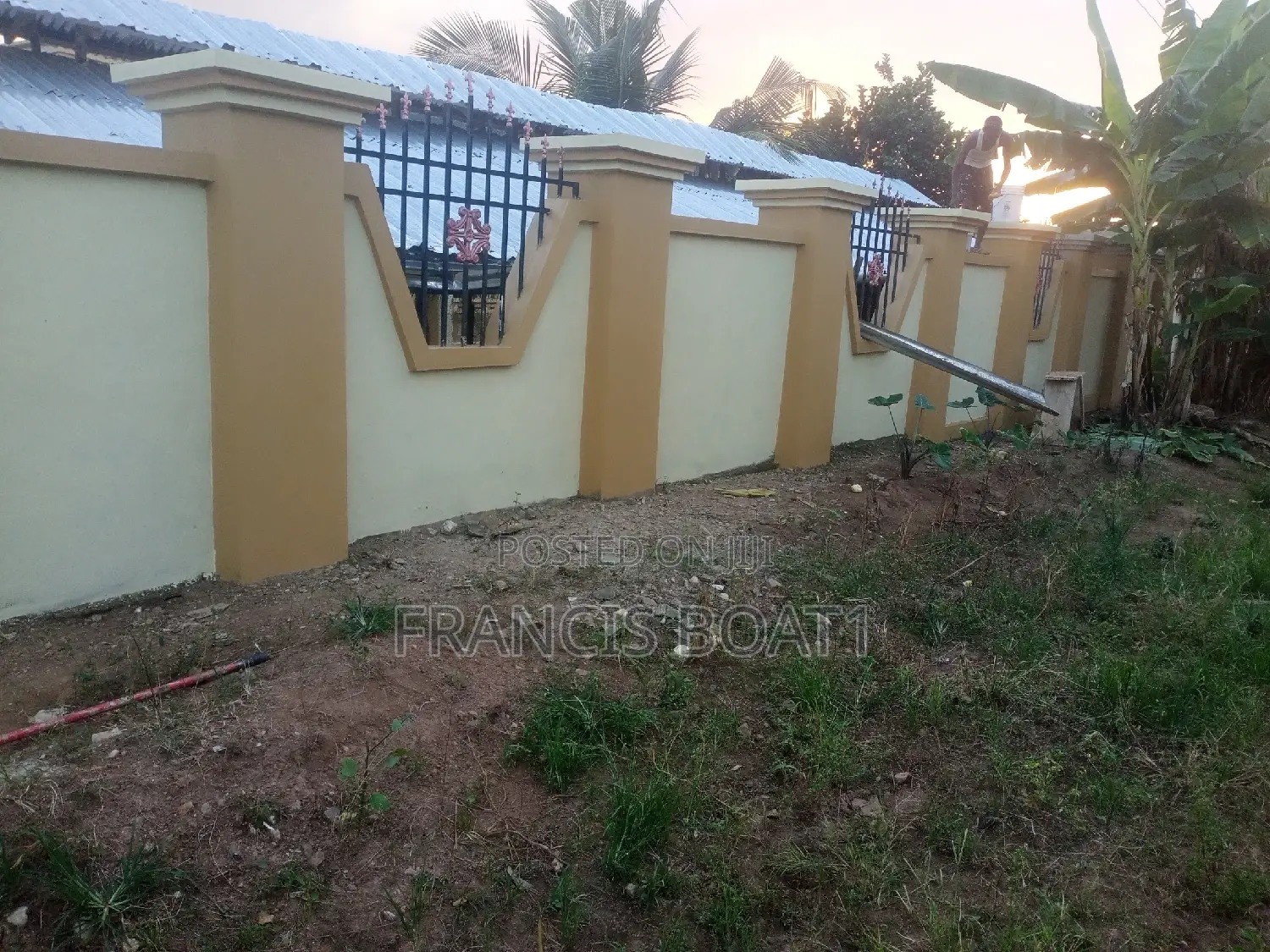 Professional Painters Available