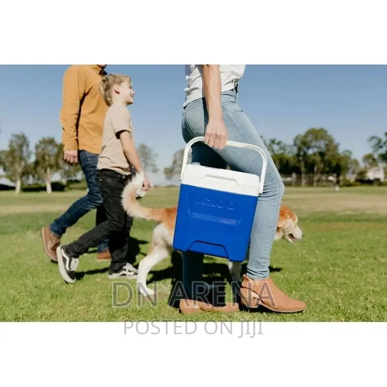 Igloo 18quart 12 Cans Capacity Cooler Box