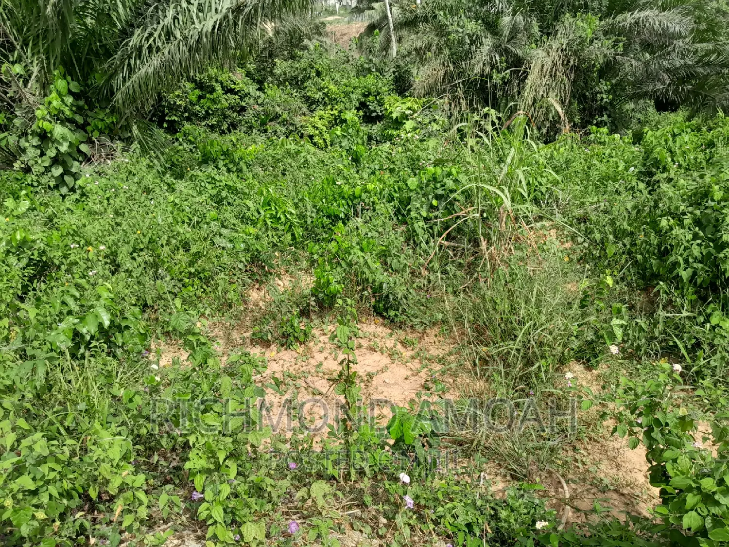 Plot for Sale at Diabane Teacher's