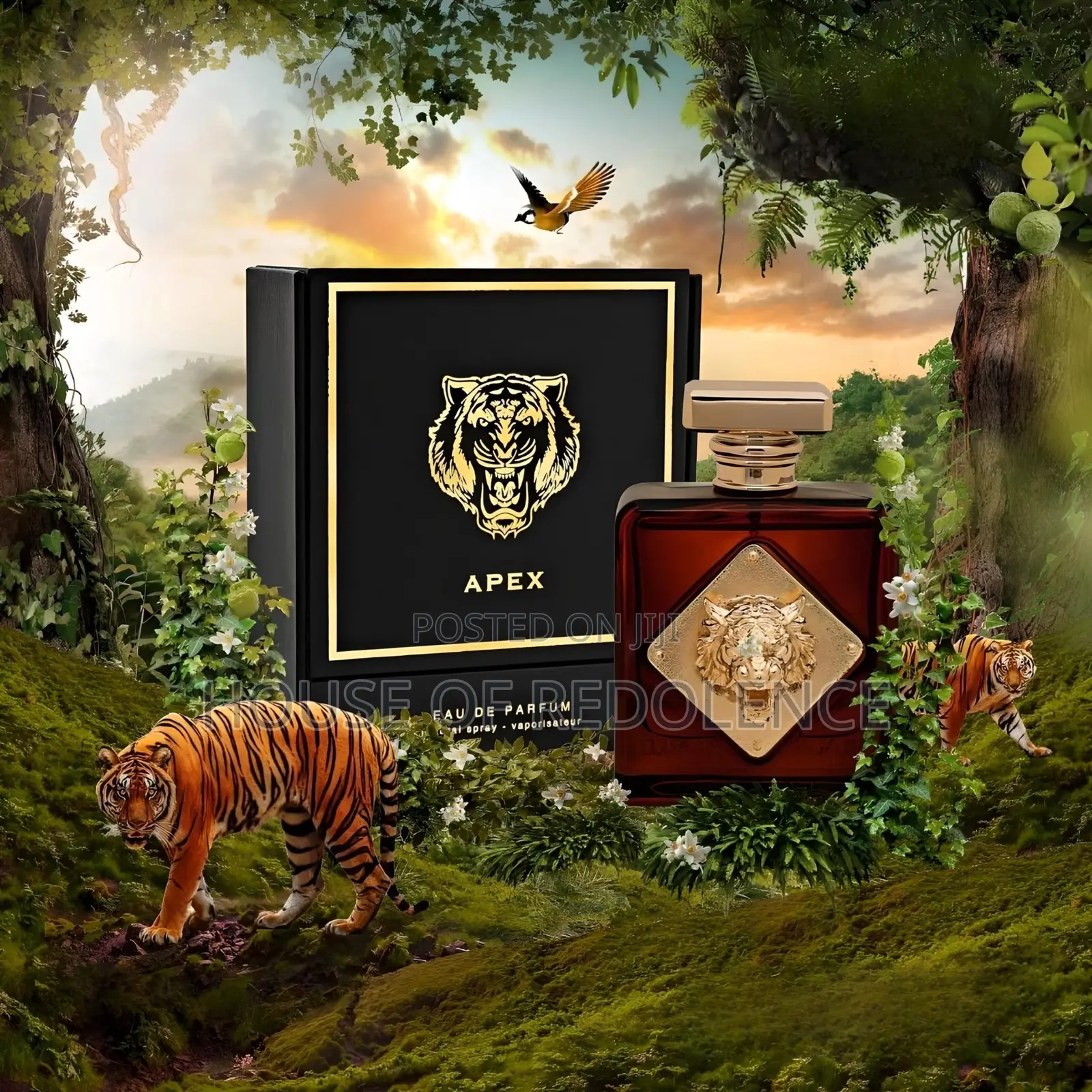 Apex Perfume / Eau De Parfum by Fragrance World
