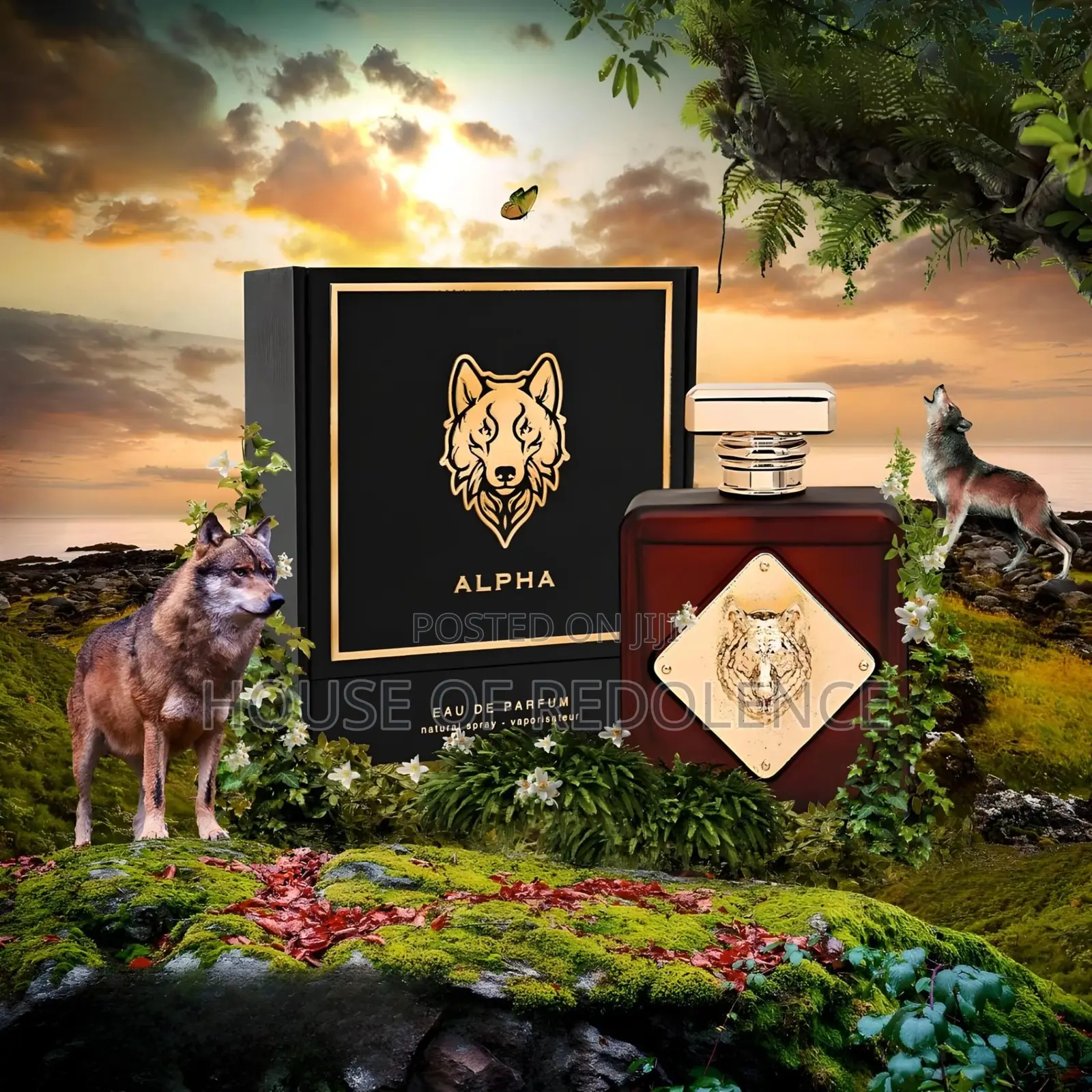 Alpha Perfume EDP by Fragrance World