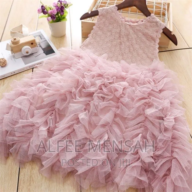 Casual Summer Lace Embroidered Puffy Dress