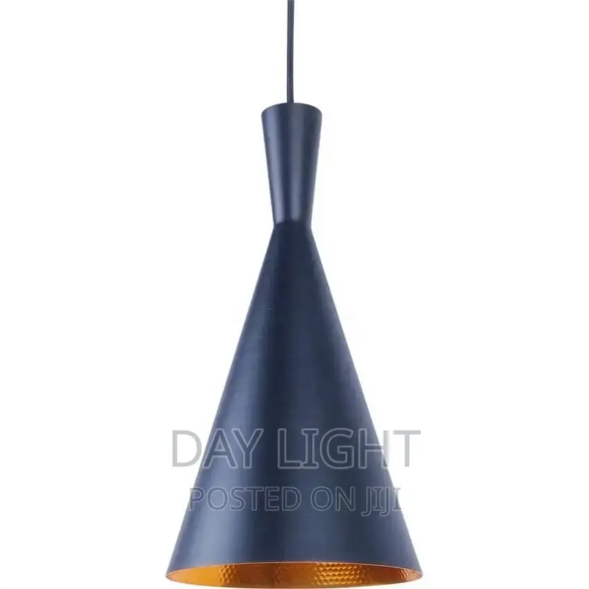 Single Pendant Light.