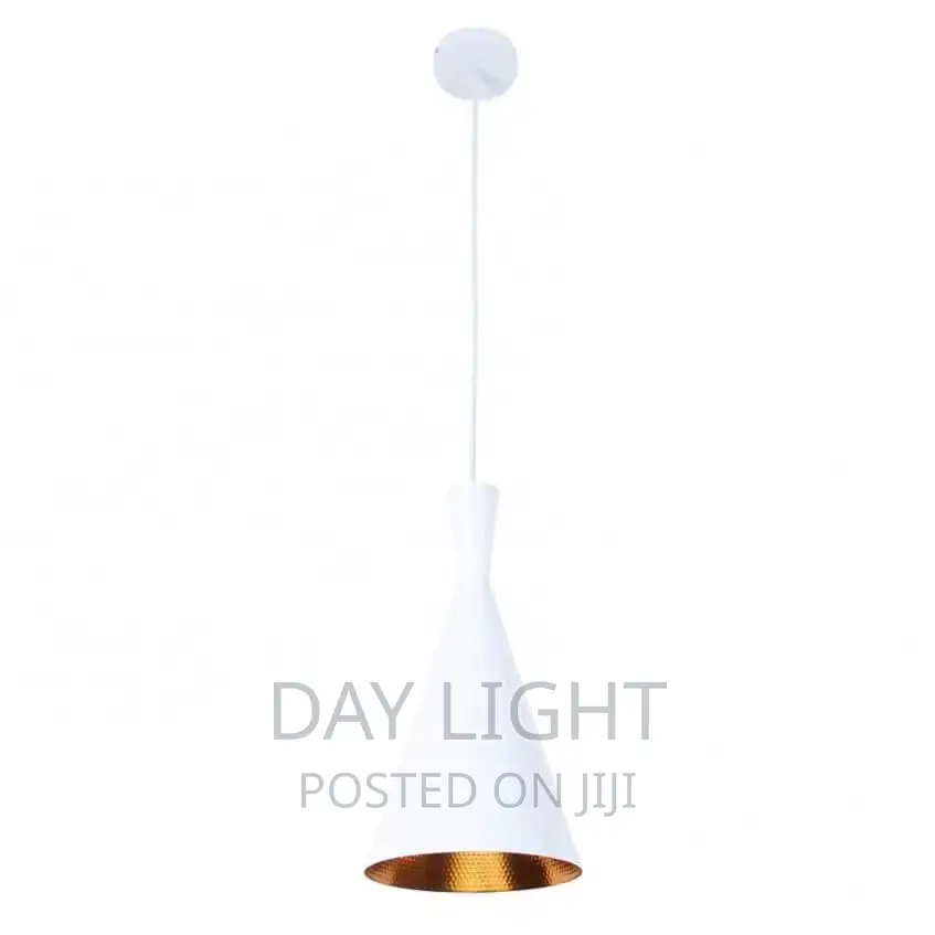 Single Pendant Light.