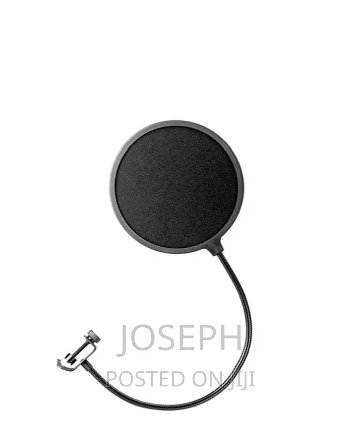 Microphone Filters