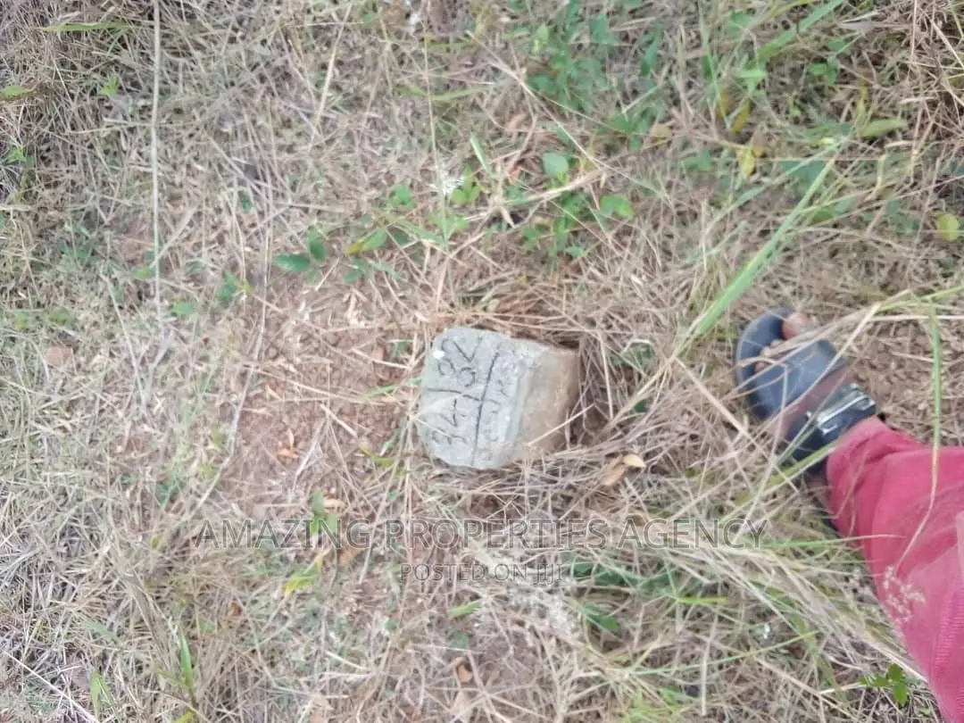 Half an Acre of Litigation-Free Land for Sale at Dzorwulu,