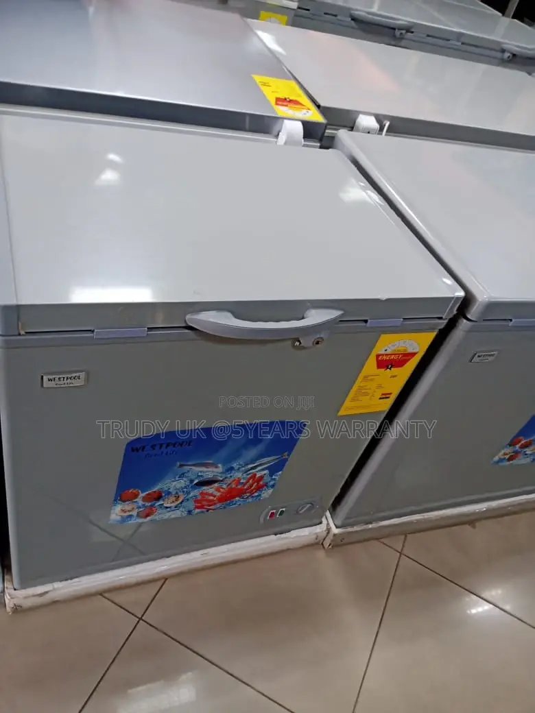270 Litters Nasco Freezer