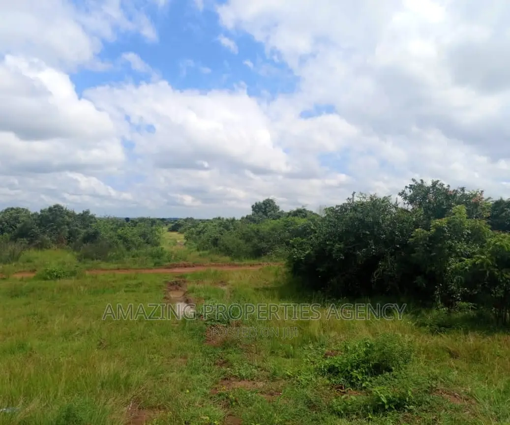 5.4 Acres of Land for Sale at East Airport