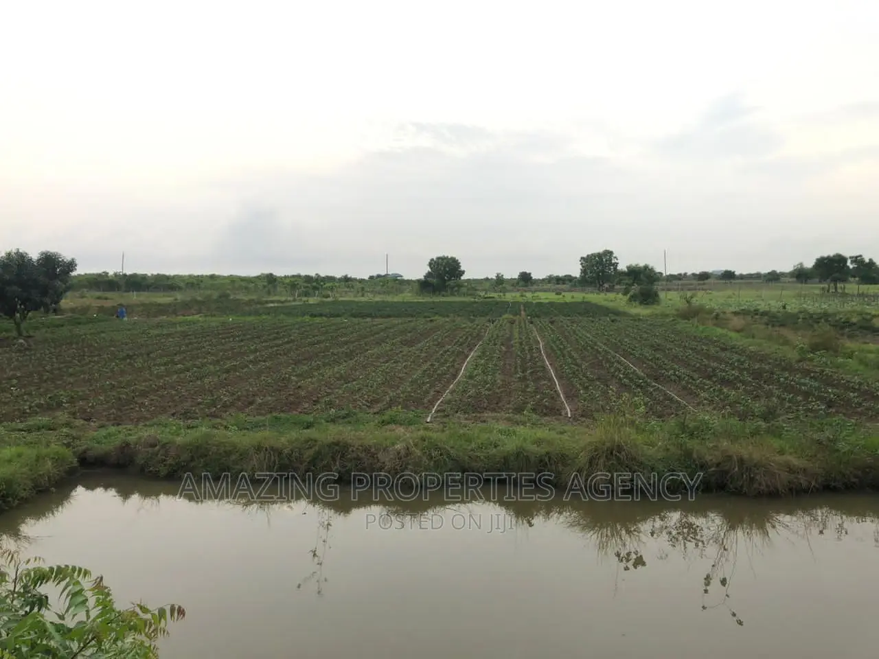 40000 Acres of Farmland at Juapong