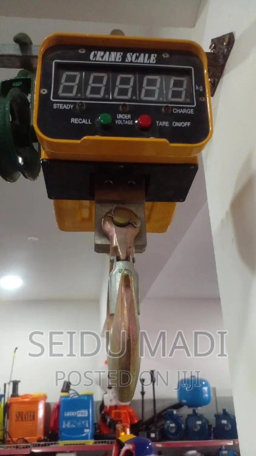 Crane Scale
