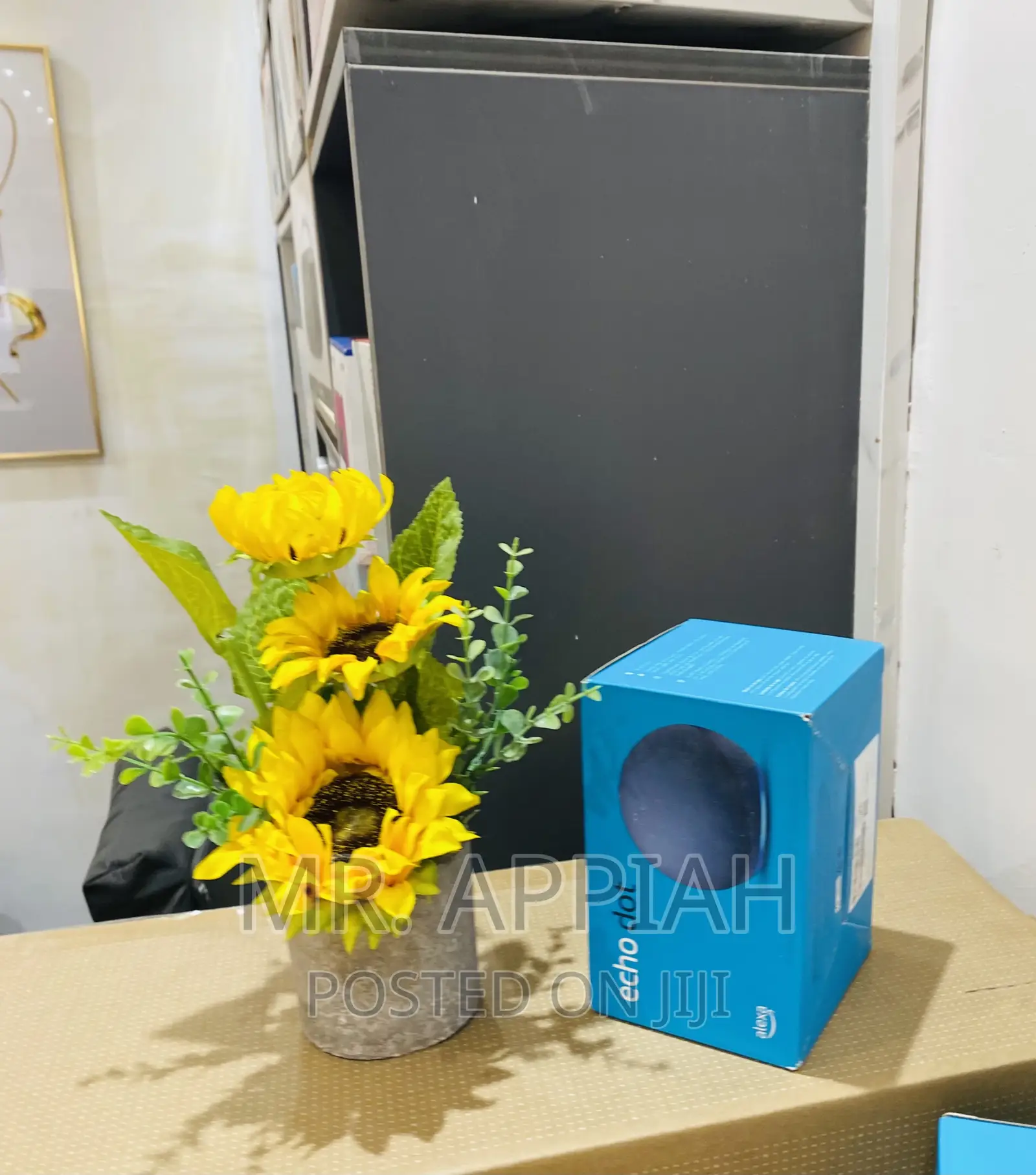 Purchase Authentic Echo Dot Portable Bluetooth Speaker.