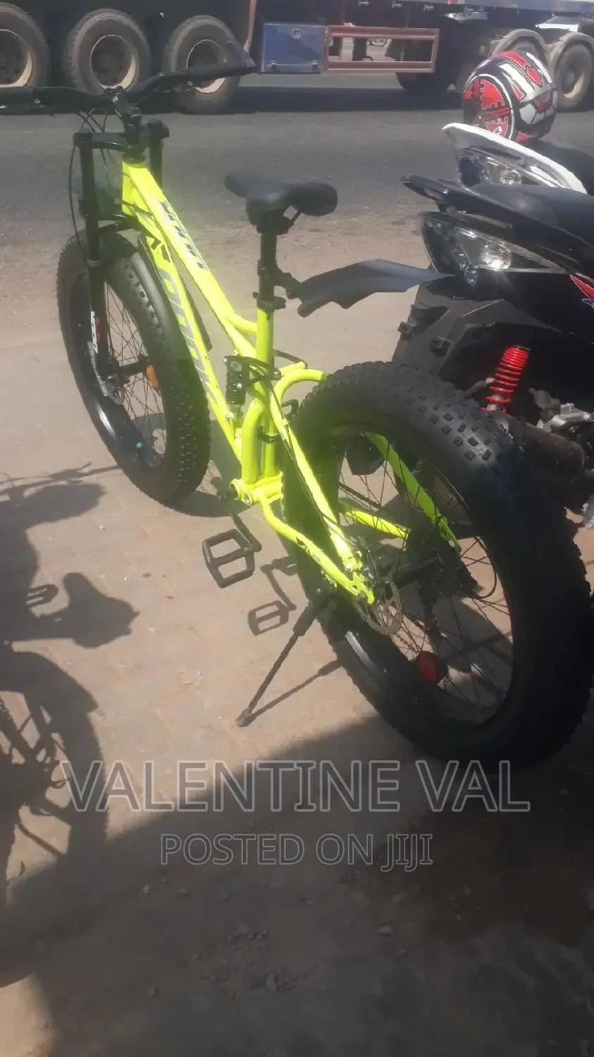 Big Tire Bicycle With Lovely Speed