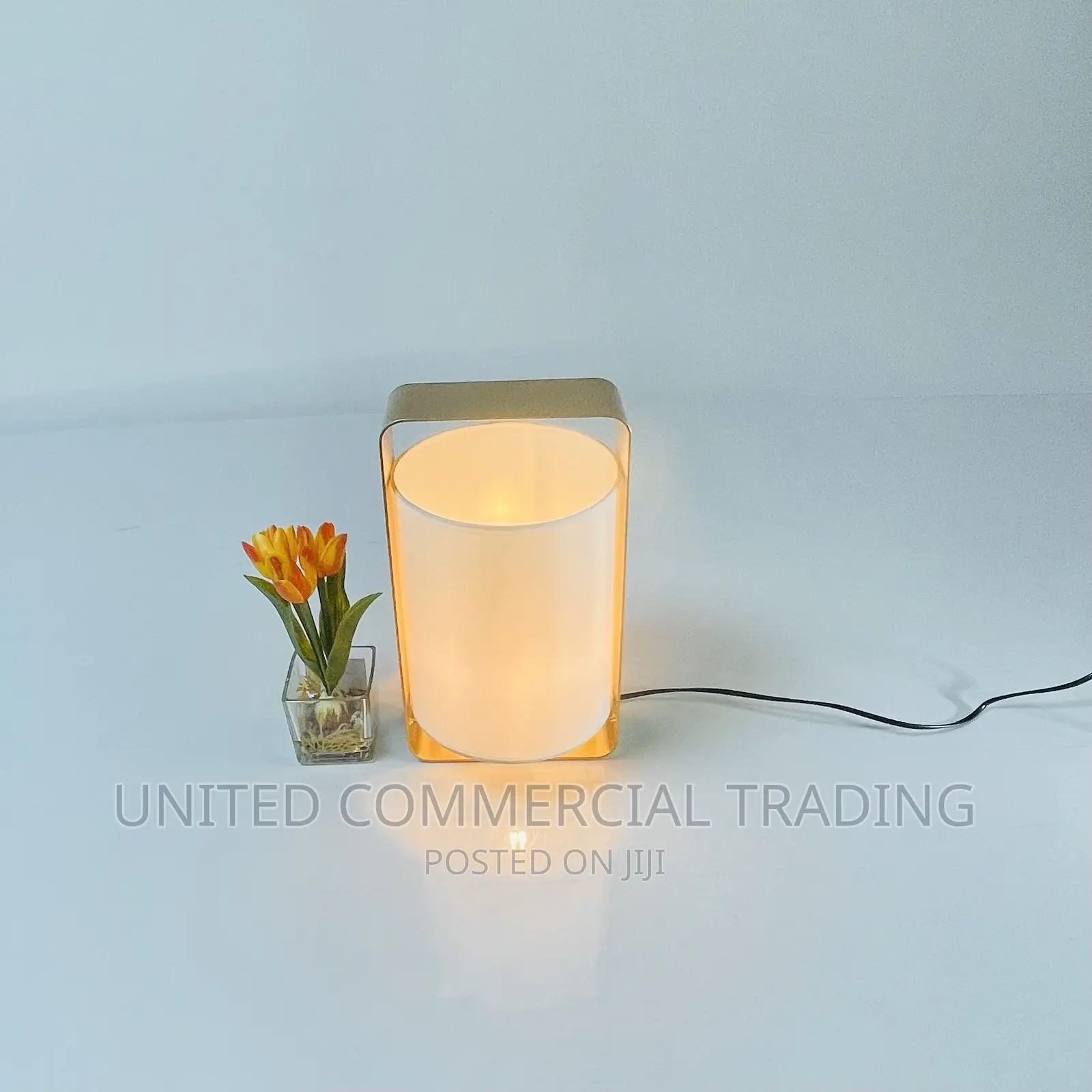 Table/Bedside Lamp