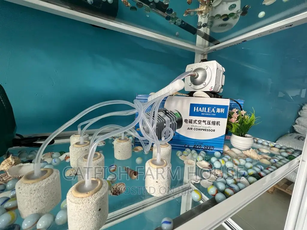 Aerators for Fish Oxygen